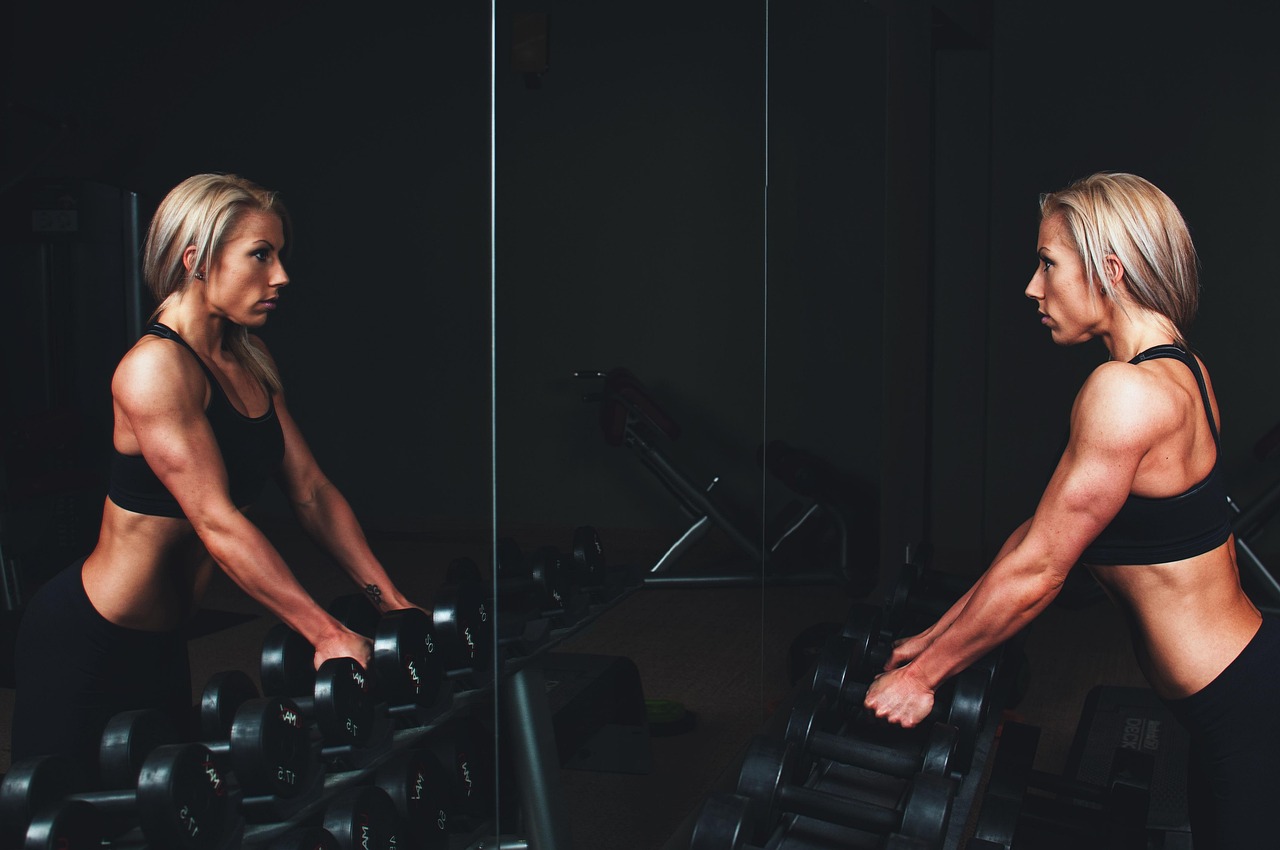 Falconstrength Fitness Club collection